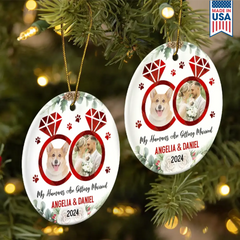 Christmas_New Dad_New Mom_Family_Happy - Baby Expecting Se (1)