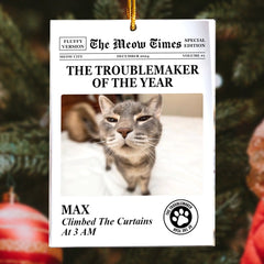 The Dog Times_ The Meow Times - Troublemaker_yythkg (1)